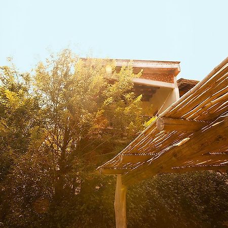 Casa Huijazoo Nature & Balance Mazunte Bagian luar foto
