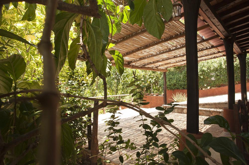 Casa Huijazoo Nature & Balance Mazunte Bagian luar foto